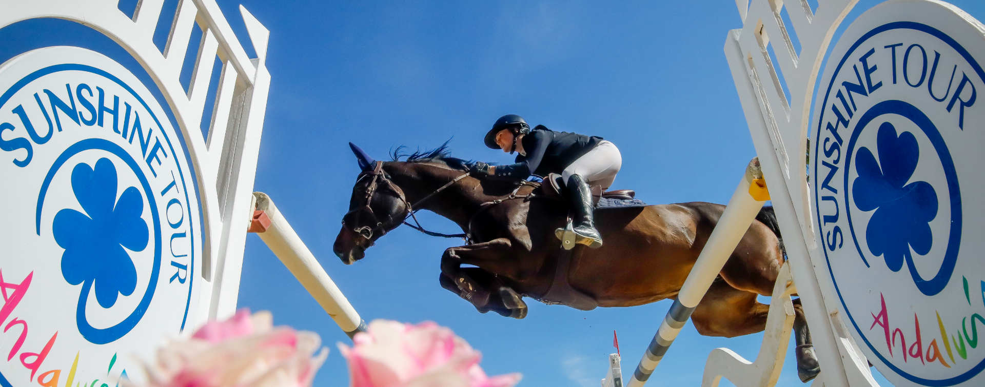 Training and competition